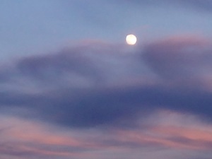 Luna de tarde